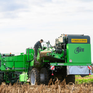 AVR Potato Harvesters