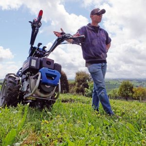 BCS Pasquali Walking Tractors DSCF9834 300x300 - BCS Pasquali Walking Tractors