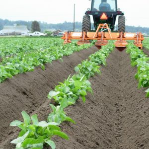 ZF 1 300x300 - Struik Tillage Equipment