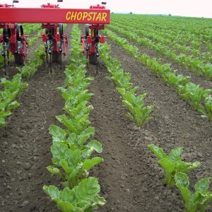 Einboeck Chopstar