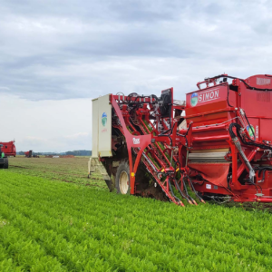 Simon Vegetable Equipment