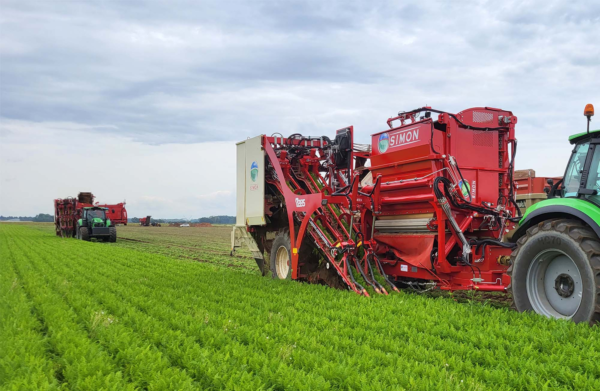 Simon Vegetable Equipment